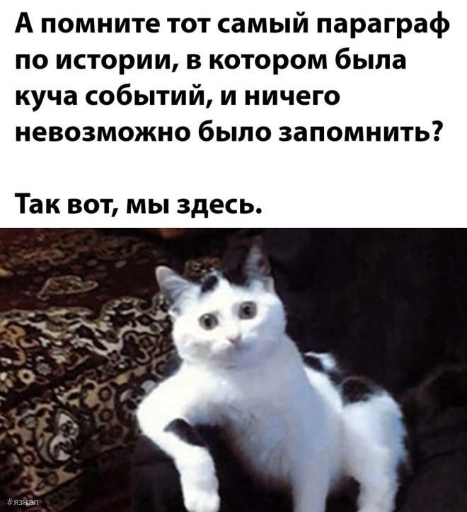 Прикольные мемы