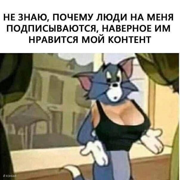 Прикольные мемы