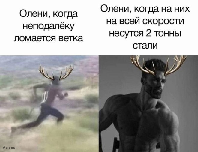 Прикольные мемы