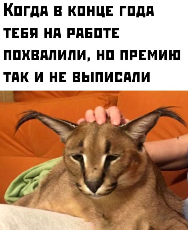 Приколы