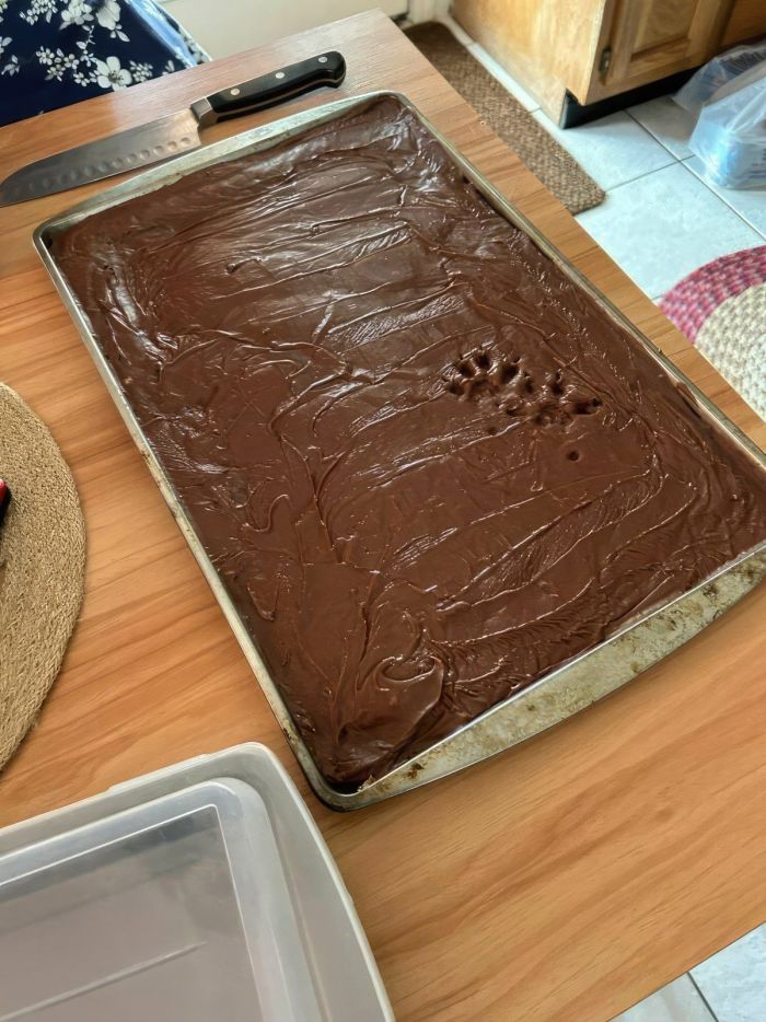 Юмор и приколы