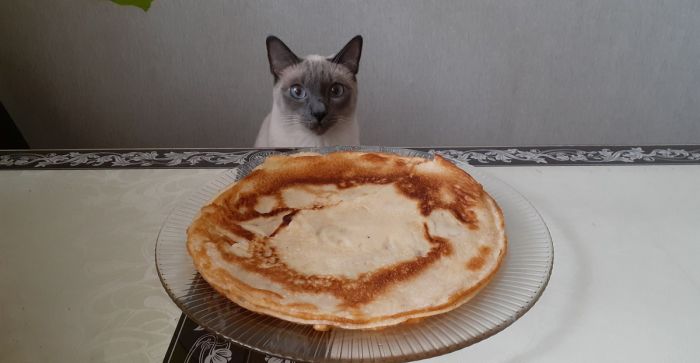 Юмор и приколы