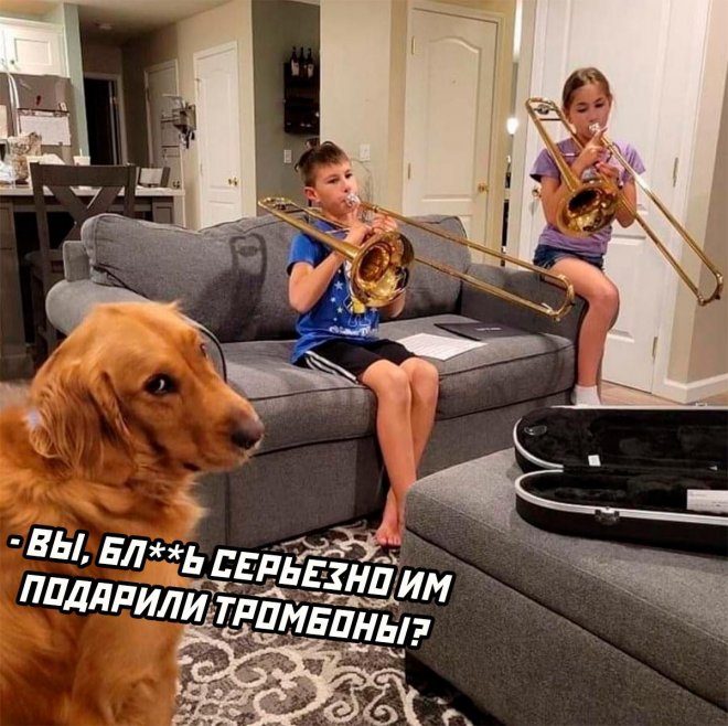 Самые смешные фото приколы и новые мемы — свежий юмор для отличного настроения