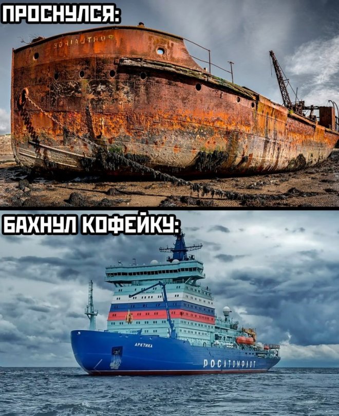 Самые смешные фото приколы и новые мемы — свежий юмор для отличного настроения