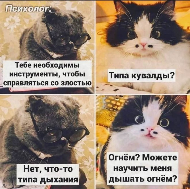 Смешные мемы