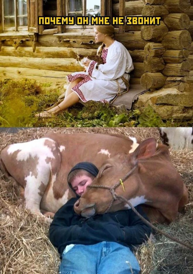 Самые смешные фото приколы и новые мемы — свежий юмор для отличного настроения