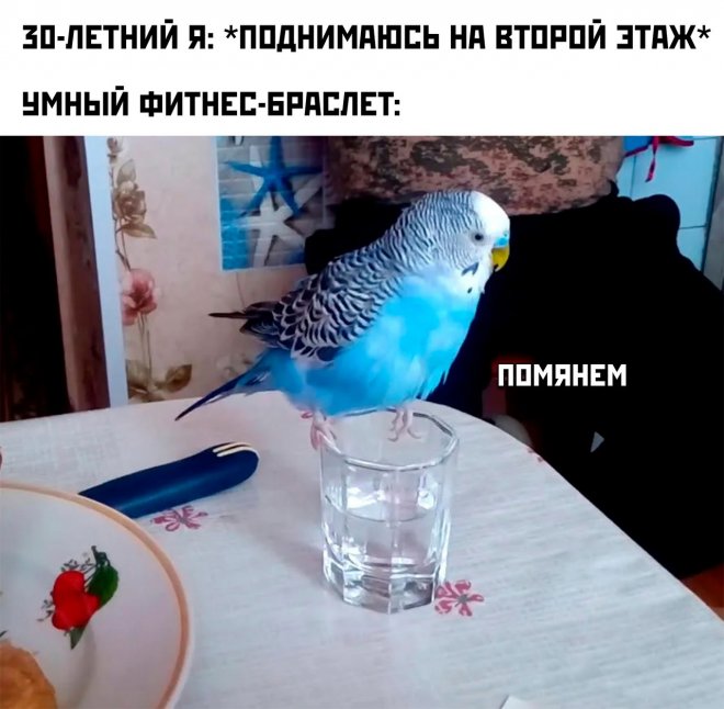 Самые смешные картинки и свежие мемы