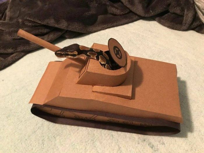 Самые смешные фото приколы и новые мемы — свежий юмор для отличного настроения