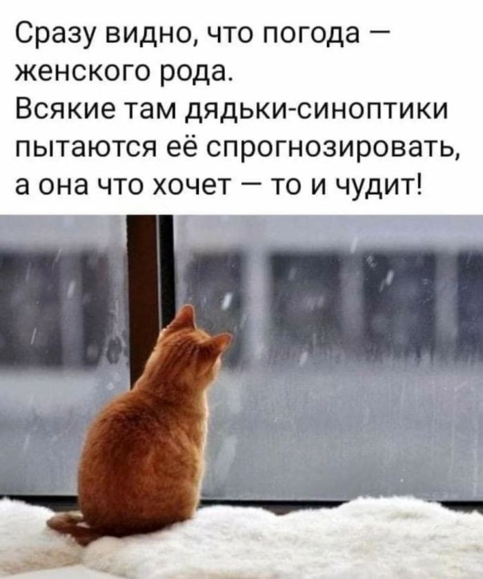 Юмор и приколы