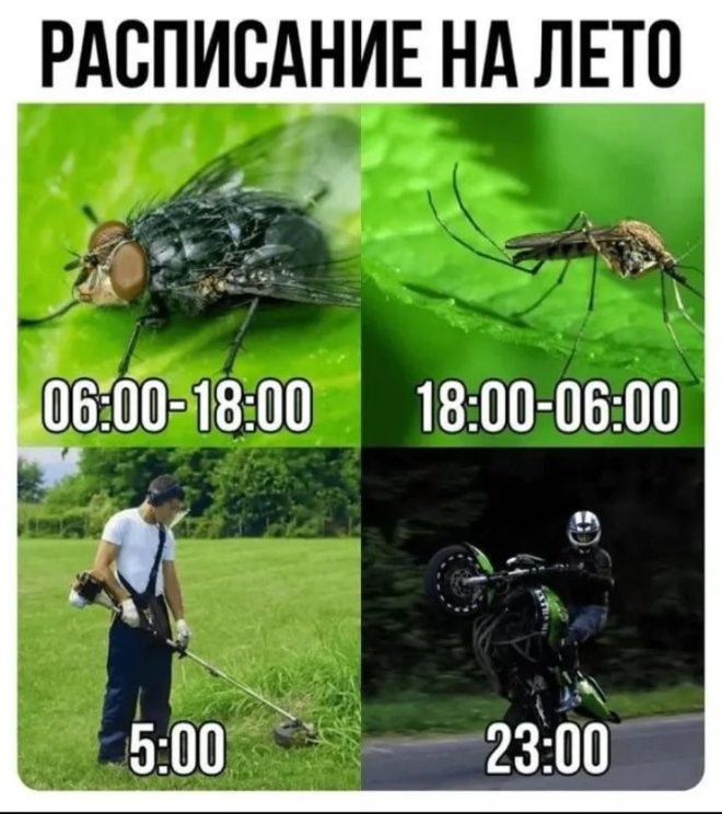 Свежие приколы