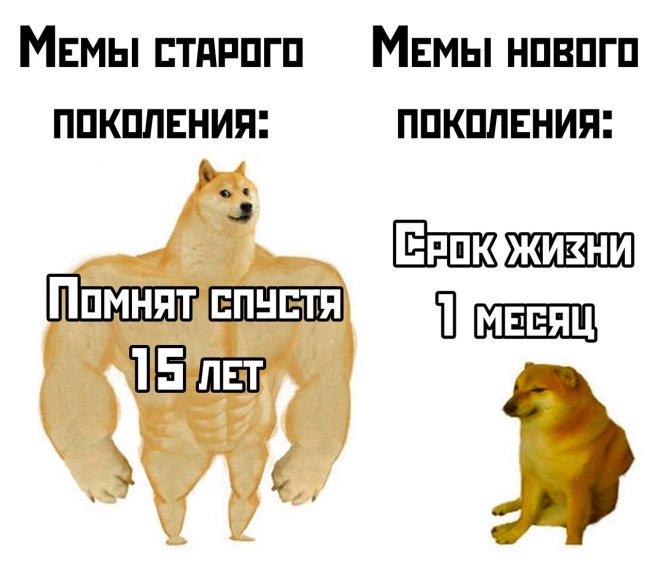 Свежие приколы