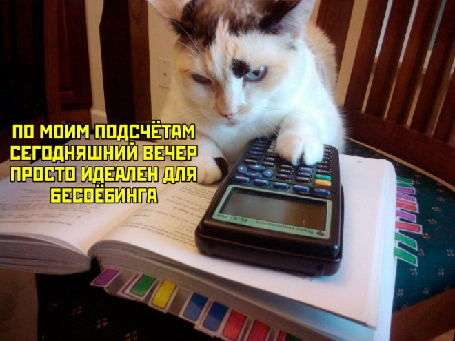 Самые смешные картинки и свежие мемы