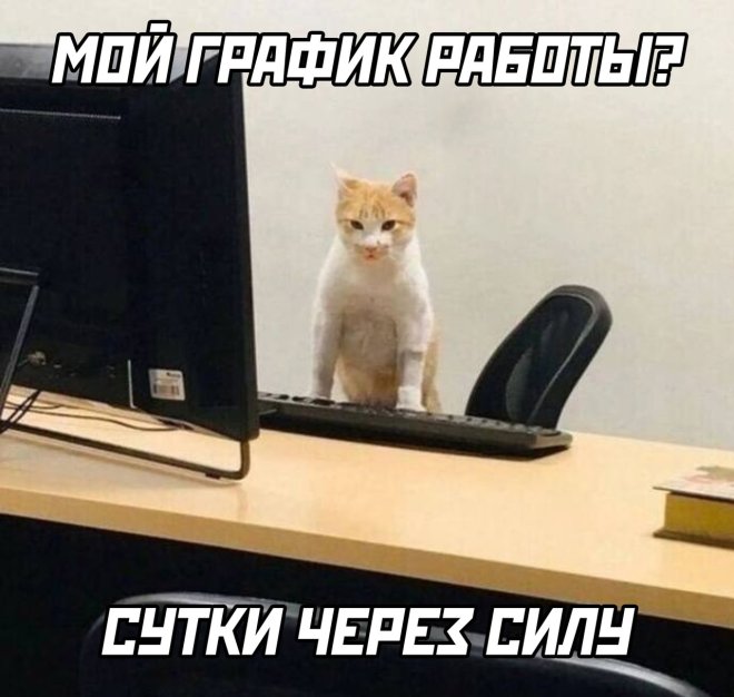 Свежие приколы