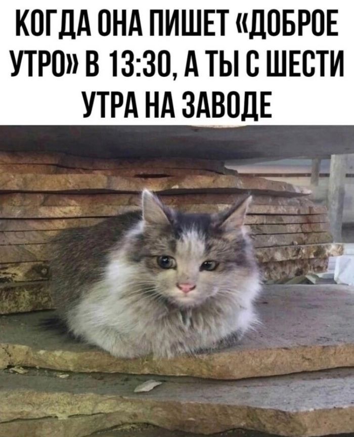Юмор и приколы
