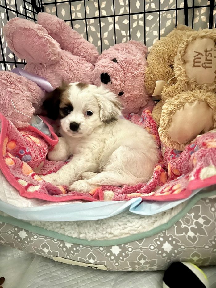 Юмор и приколы