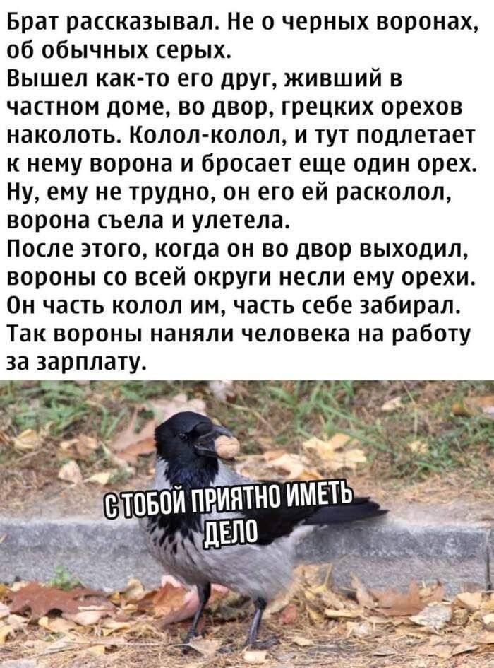 Приколы