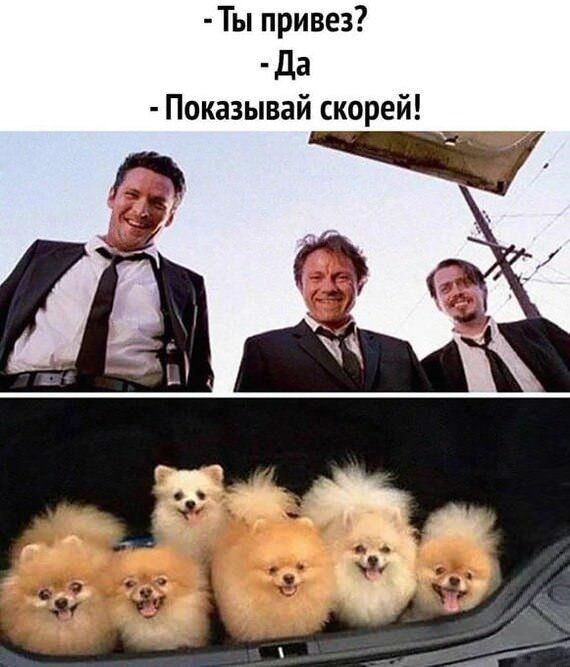 Прикольные картинки