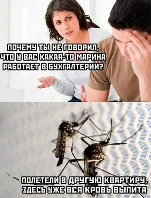 Приколы