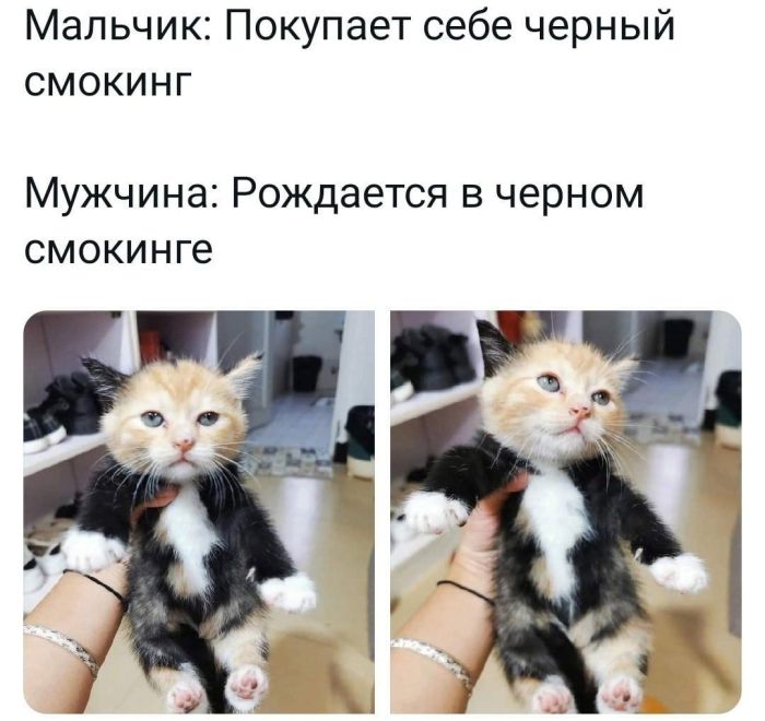 Приколы