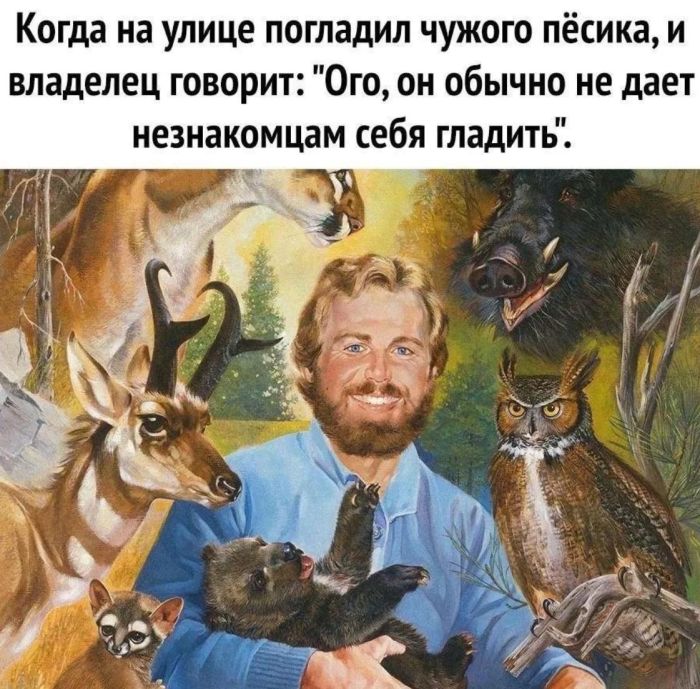 Юмор и приколы