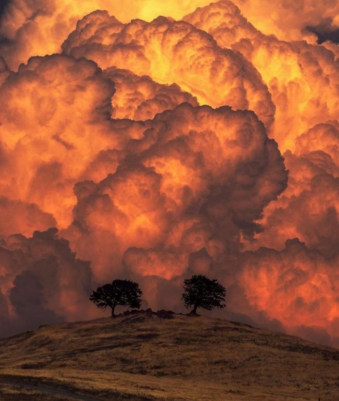 Самые смешные фото приколы и новые мемы — свежий юмор для отличного настроения