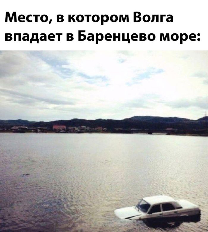 Приколы