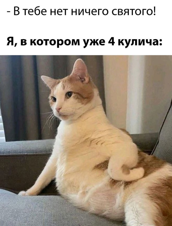 Свежие приколы