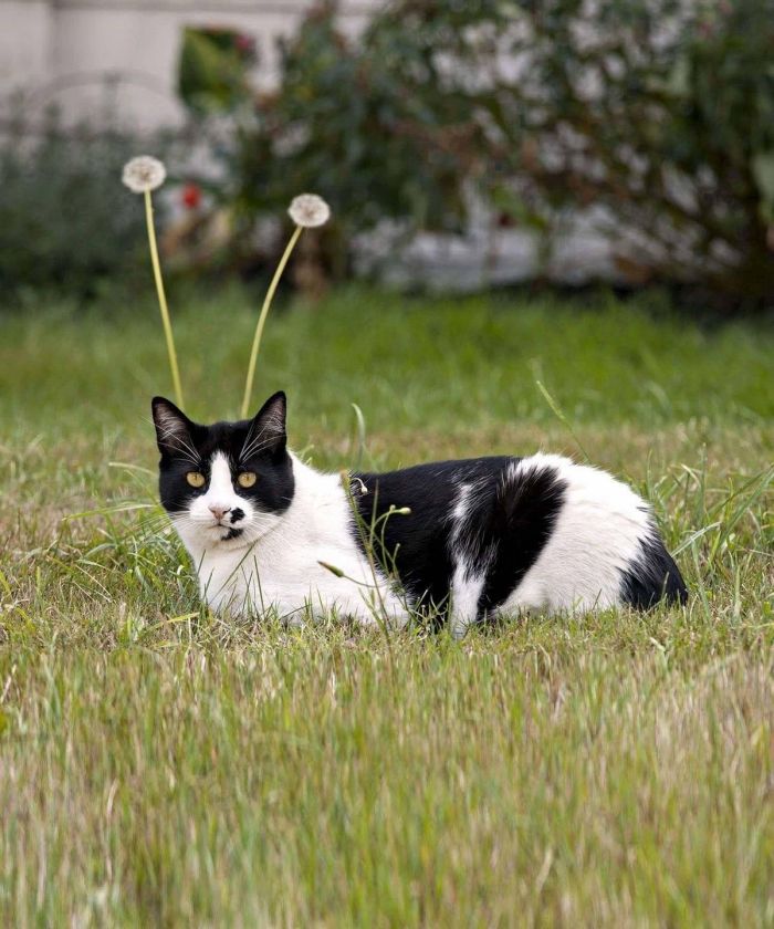 Юмор и приколы