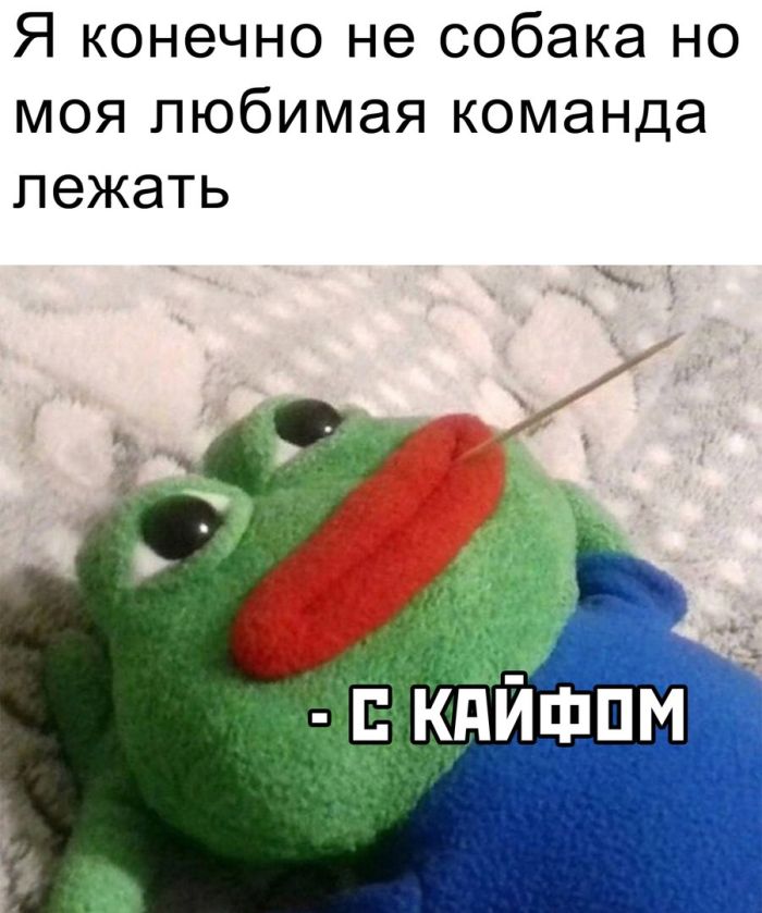 Приколы