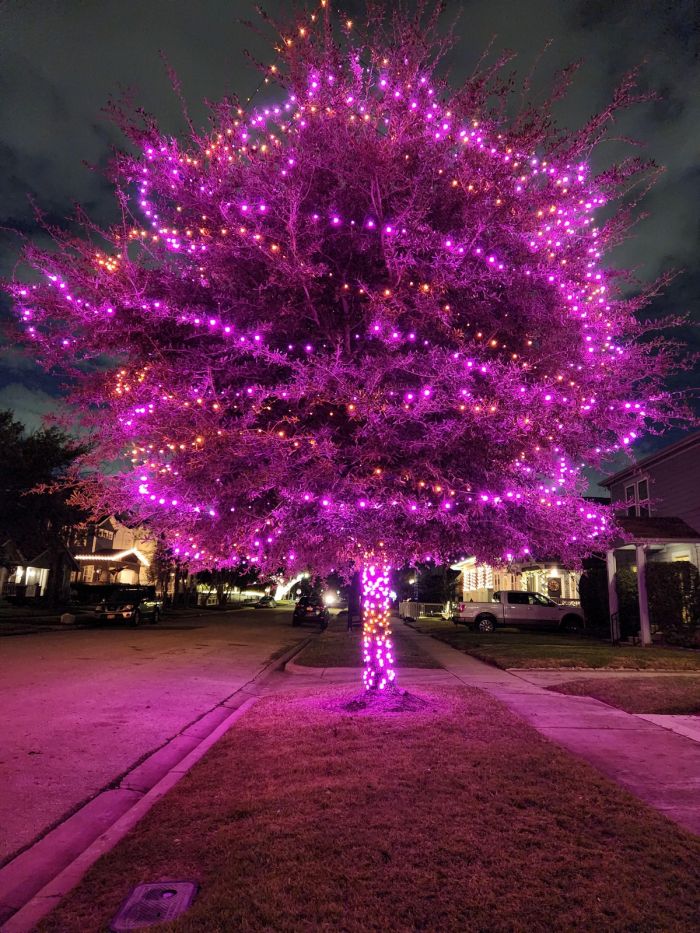 Самые смешные фото приколы и новые мемы — свежий юмор для отличного настроения