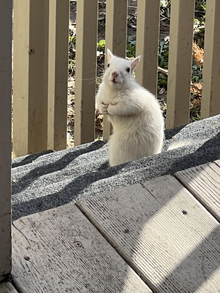 Юмор и приколы