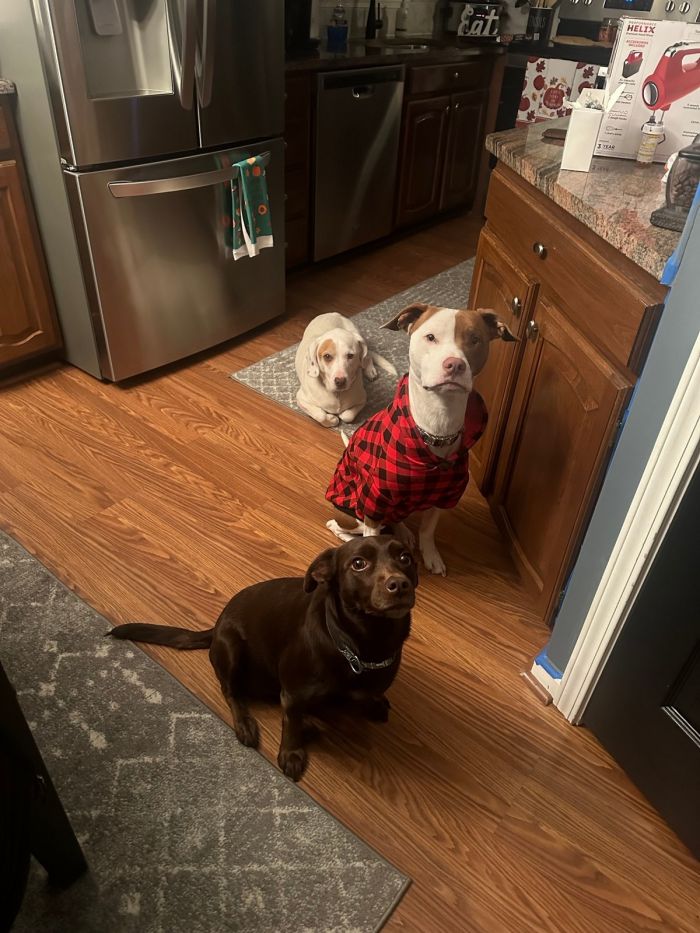 Самые смешные фото приколы и новые мемы — свежий юмор для отличного настроения