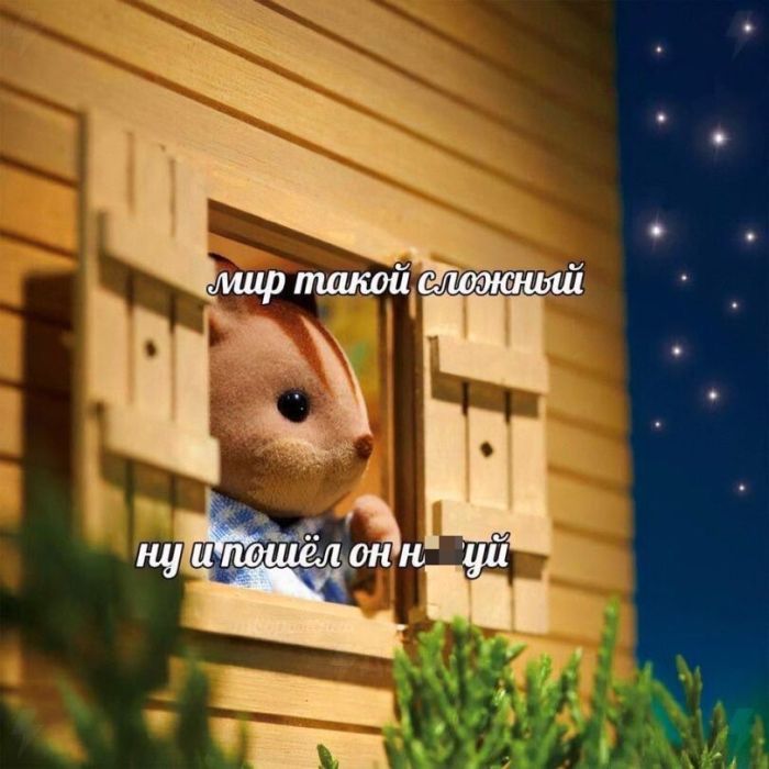 Юмор и приколы