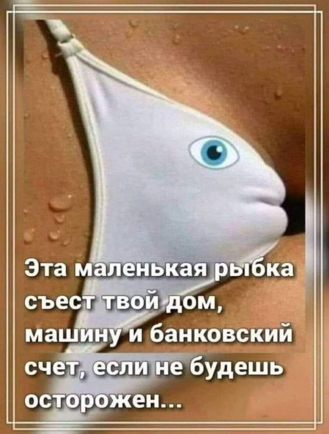 Свежие приколы