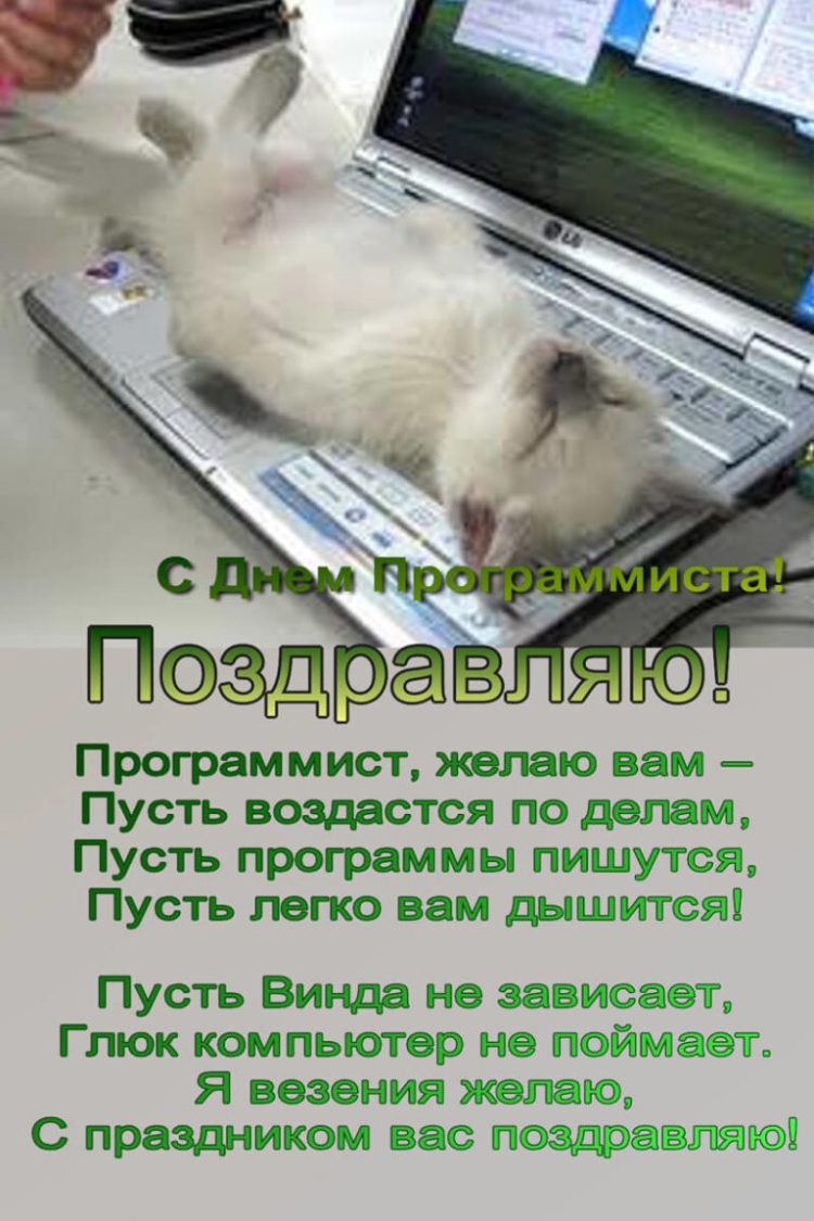 Лучшие красивые картинки с Днём рождения для айтишника