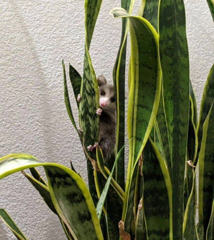 Юмор и приколы