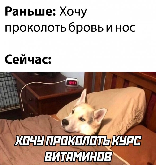 Самые смешные фото приколы и новые мемы — свежий юмор для отличного настроения