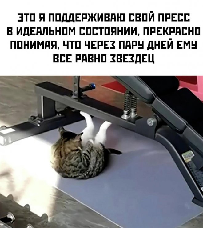 Приколы