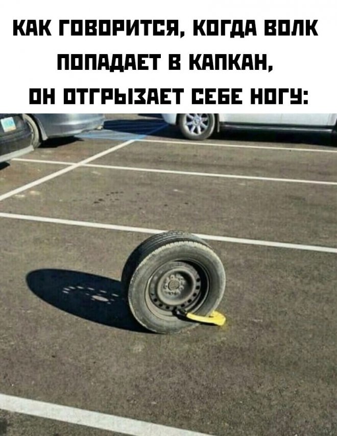 Самые смешные картинки и свежие мемы