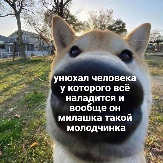 Самые смешные фото приколы и новые мемы — свежий юмор для отличного настроения