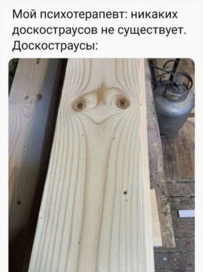 Приколы