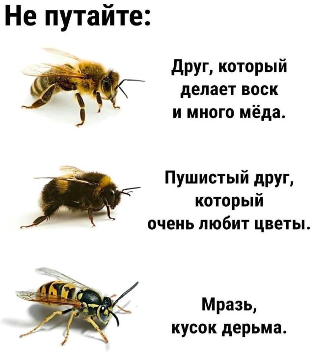 Свежие приколы