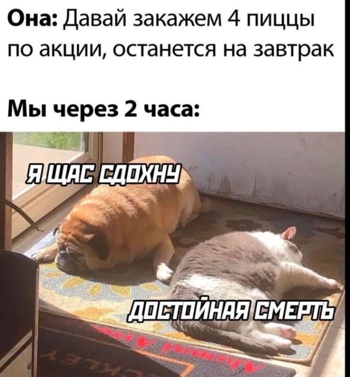 Юмор и приколы