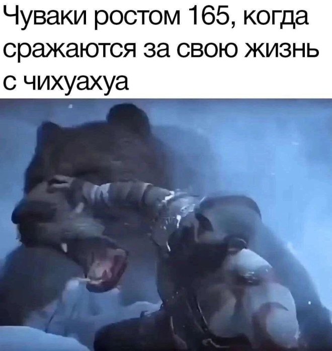 Свежие приколы