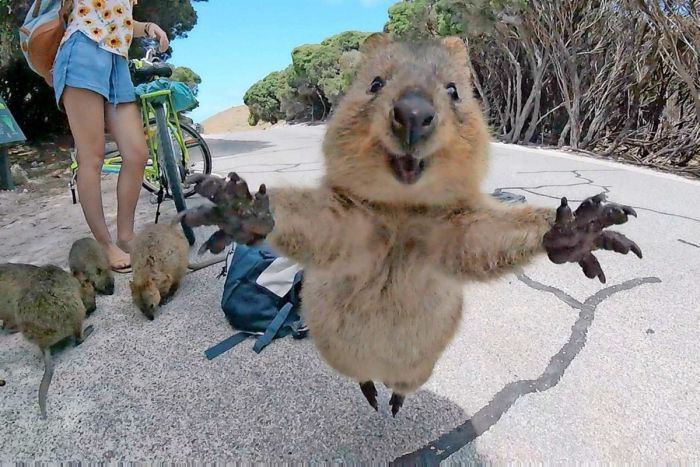 Самые смешные фото приколы и новые мемы — свежий юмор для отличного настроения