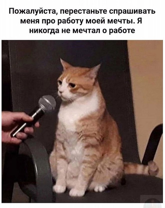 Свежие приколы