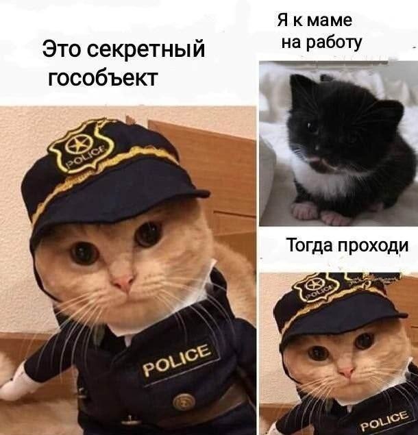 Приколы