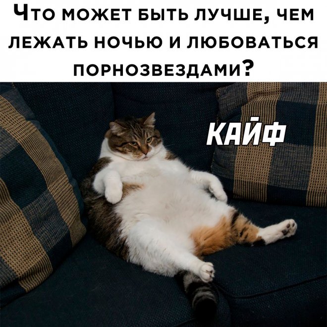 Самые смешные картинки и свежие мемы