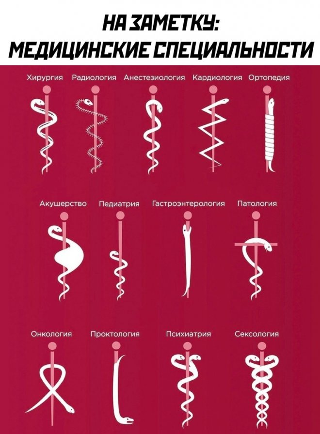 Самые смешные фото приколы и новые мемы — свежий юмор для отличного настроения