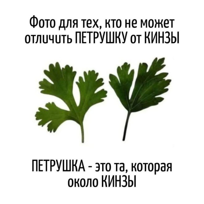 Свежие приколы